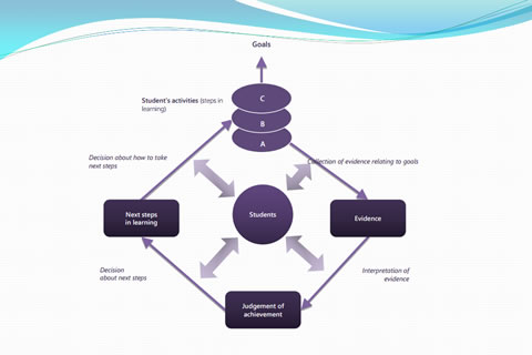 Issues in policy and practice in the assessment of IBSE